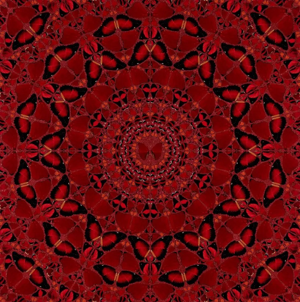 Zeefdruk Hirst - H10-4 Suiko