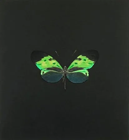 Ets Hirst - The Souls on Jacob's Ladder Take Their Flight (Small Green)
