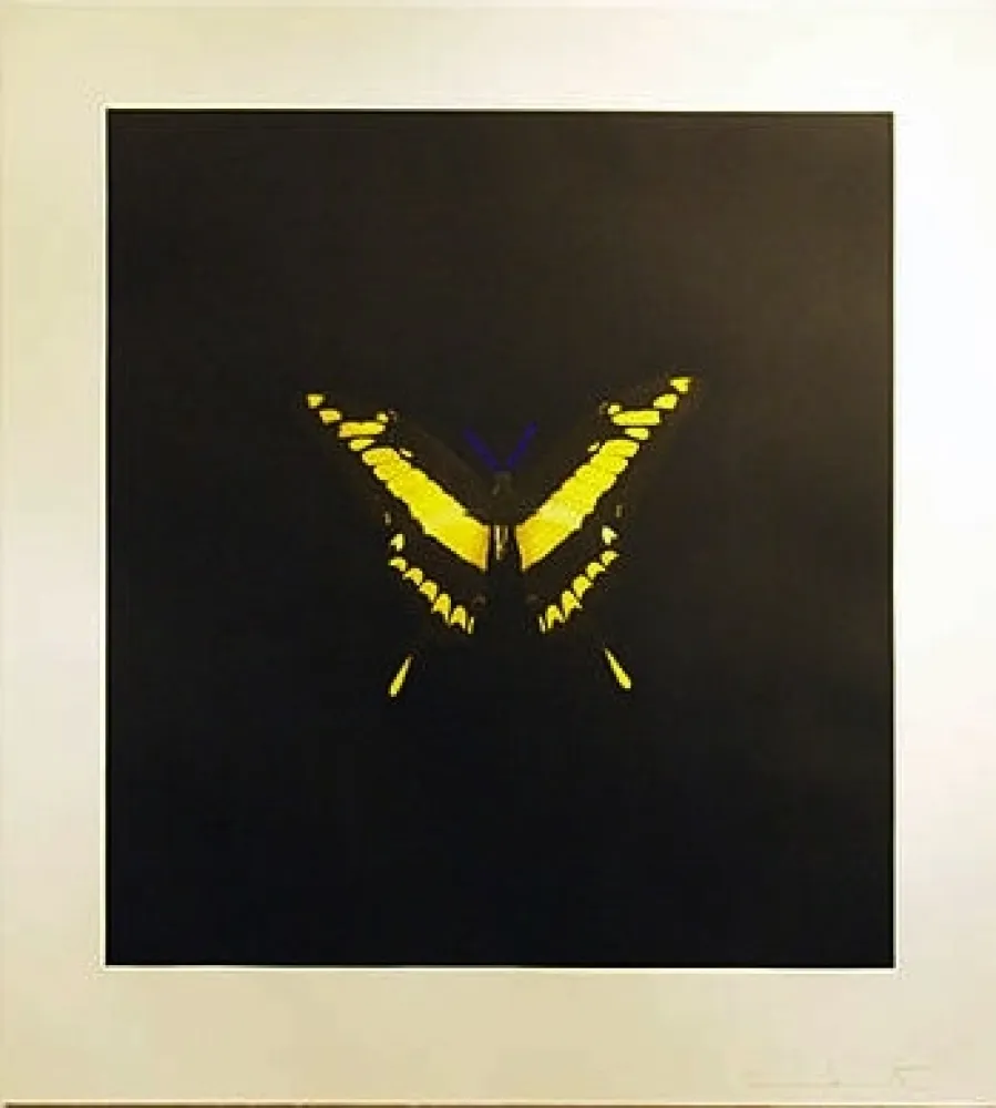 Ets Hirst - The Souls On Jacob's Ladder Take Their Flight (Small Yellow)