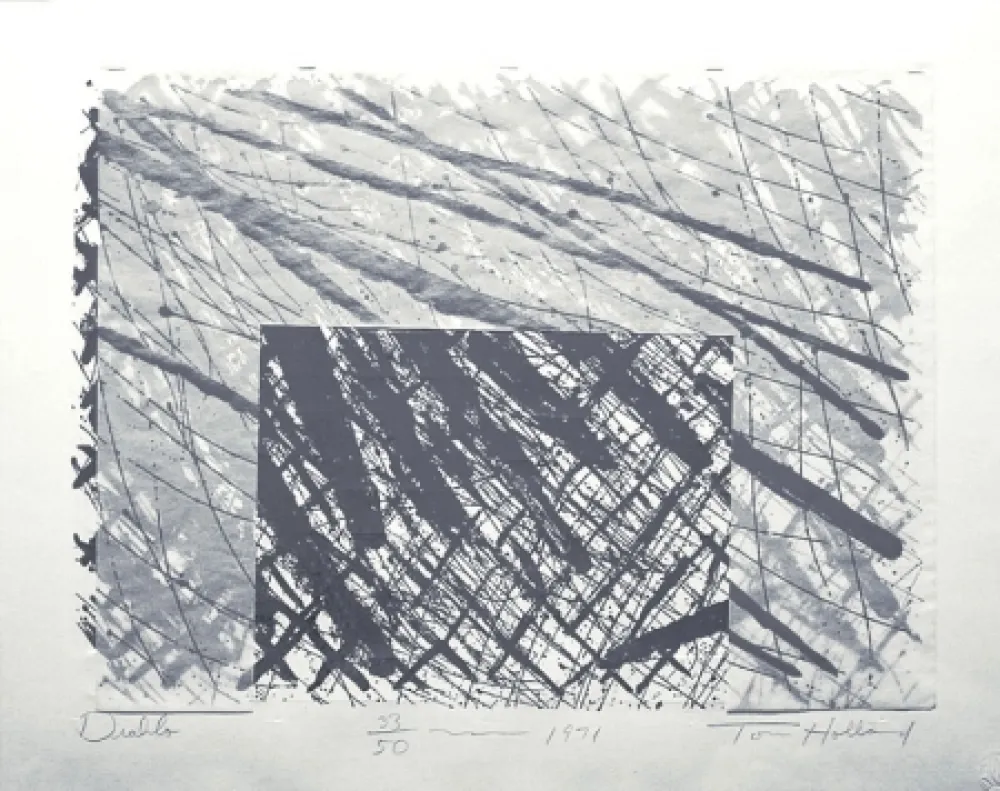 Zeefdruk Holland - Diablo