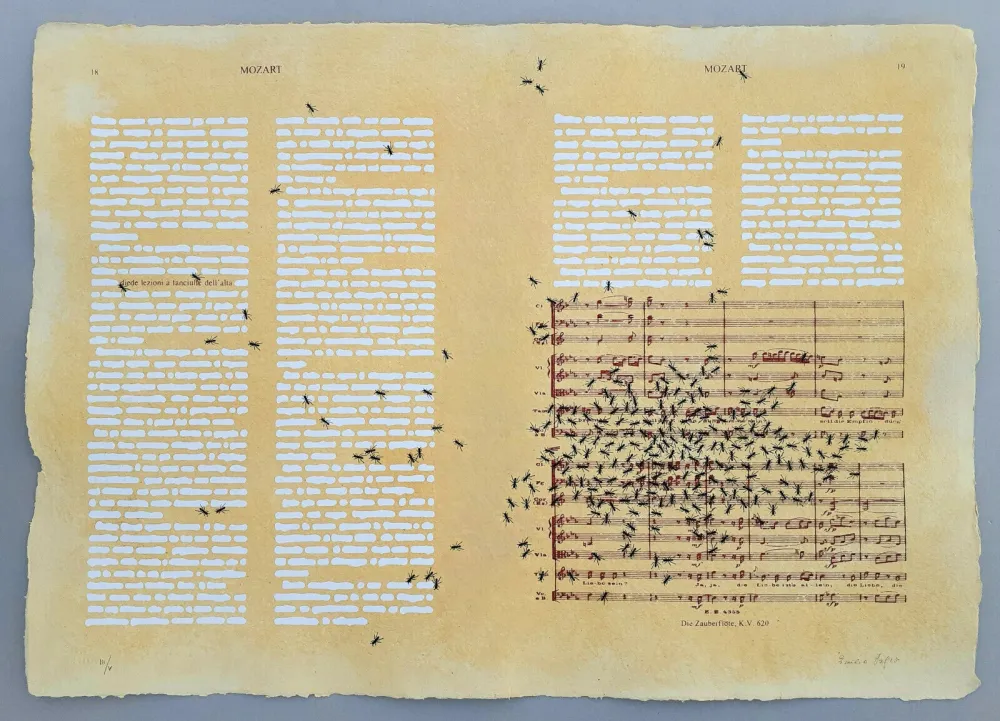 Zeefdruk Isgro - Mozart