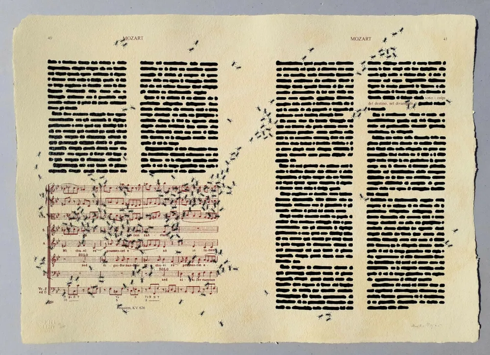 Zeefdruk Isgro - Mozart