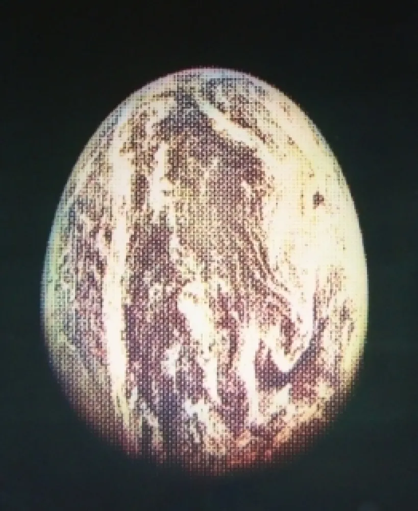 Ets En Aquatint Jacquet - L'oeuf