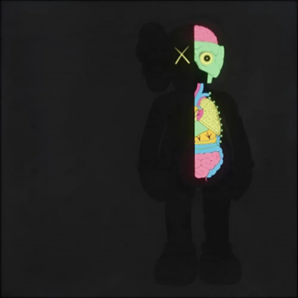 Multiple Kaws - Dissected Companion (Black)