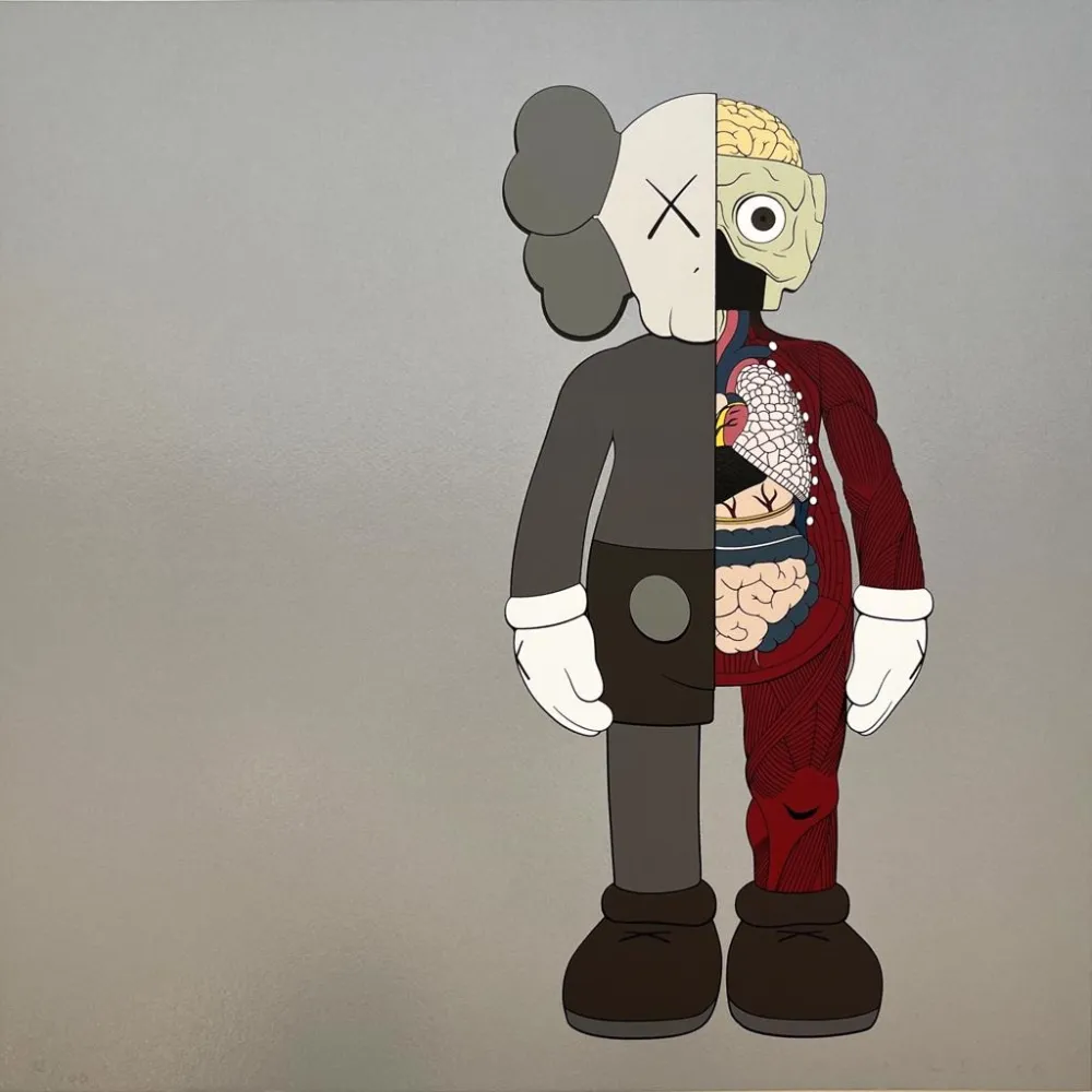 Zeefdruk Kaws - Dissected Companion (Brown)