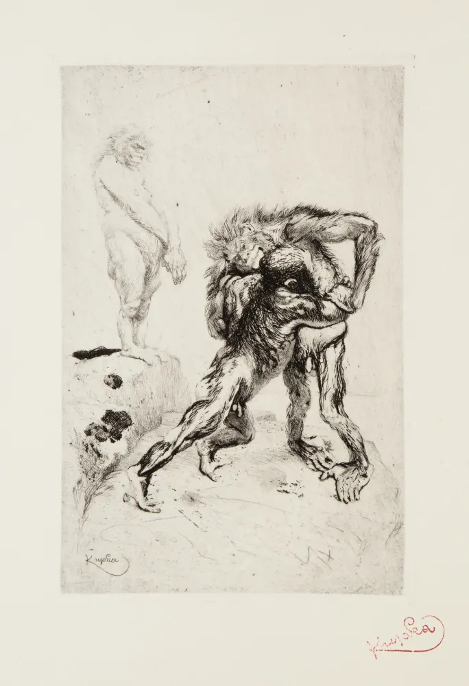 Droge Naald Kupka - Lutte