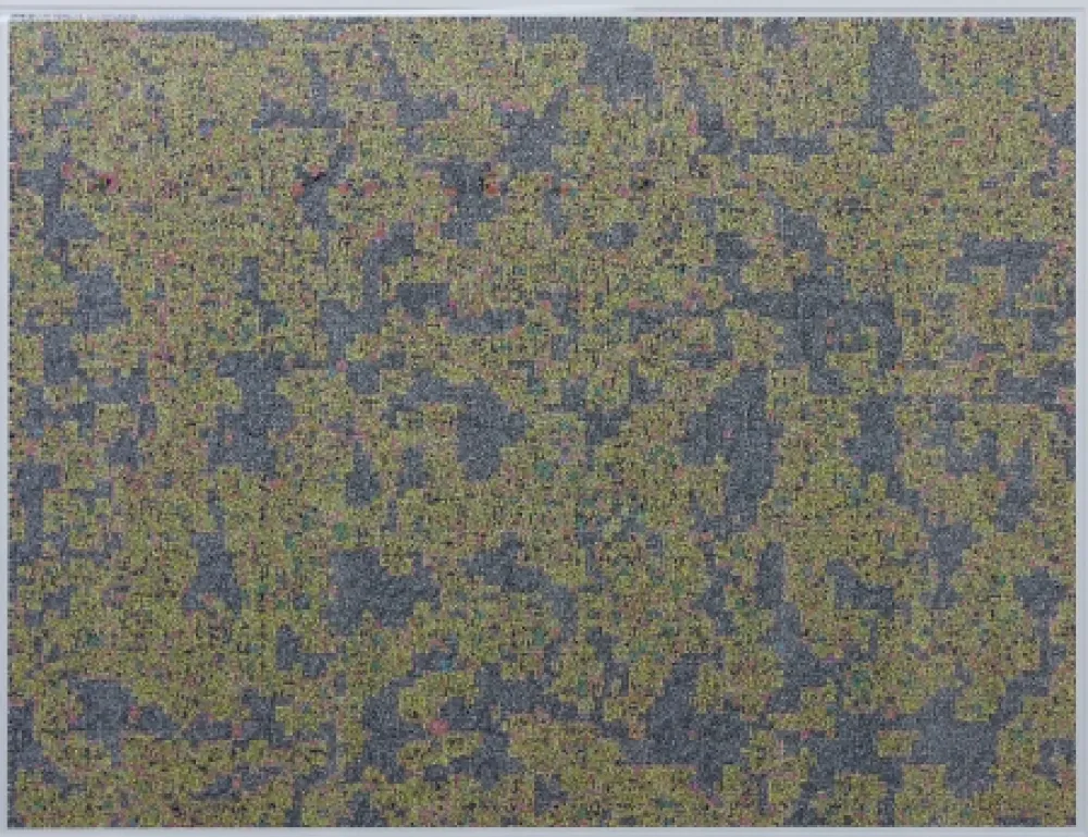 Digitale Print Leherpeur - Compression ADS 2