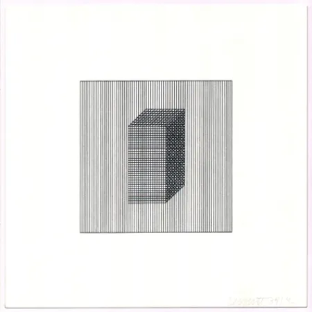 Zeefdruk Lewitt - Twelve Forms Derived from a Cube (Set of 48) (3)