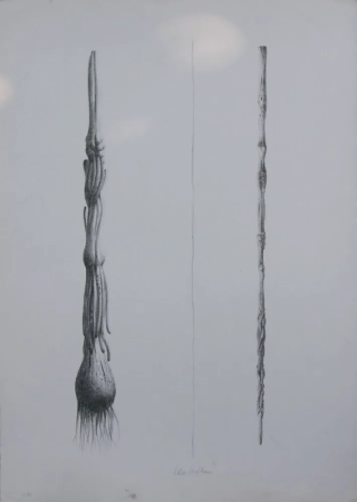 Lithografie Lionni - Due Solee