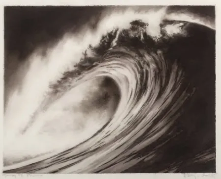 Lithografie Longo - Wave #8 portfolio