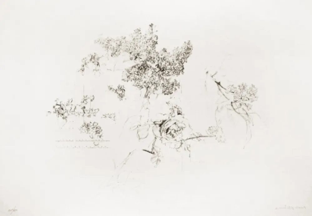 Lithografie López Garcia - Olympic Centennial