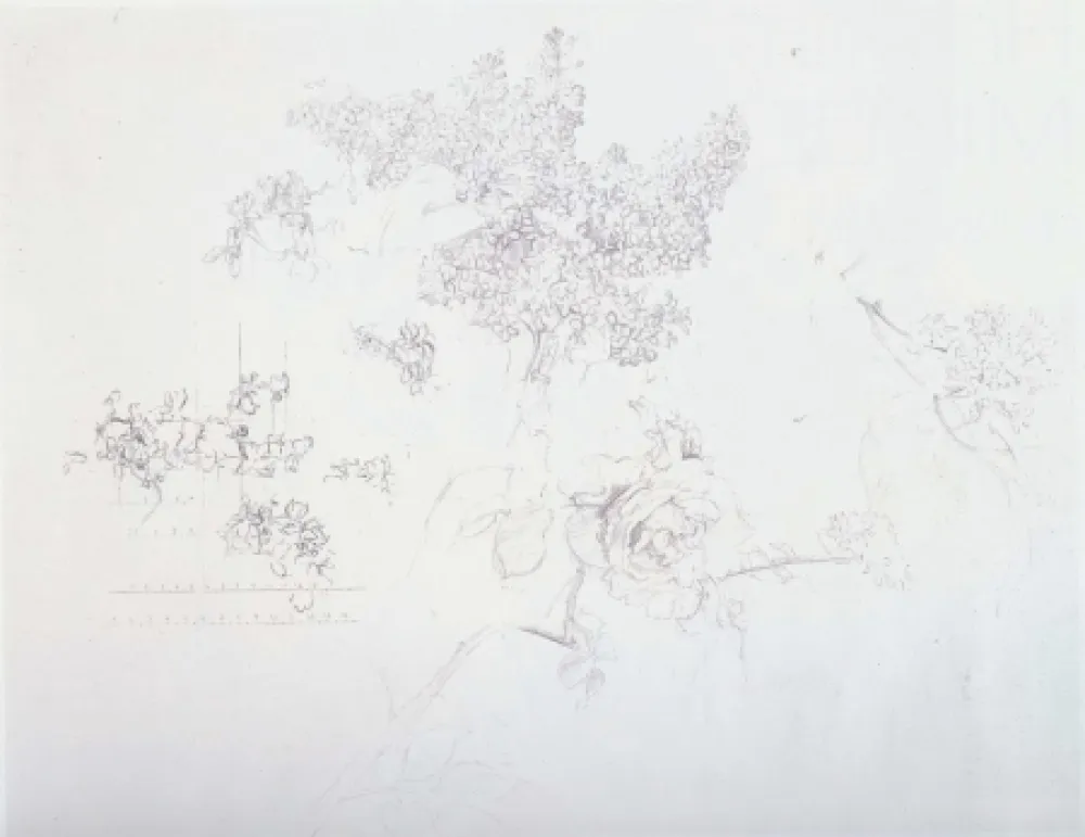 Lithografie Lopez - Olympic Centennial