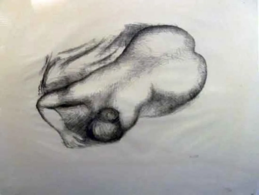 Lithografie Maillol - Torso