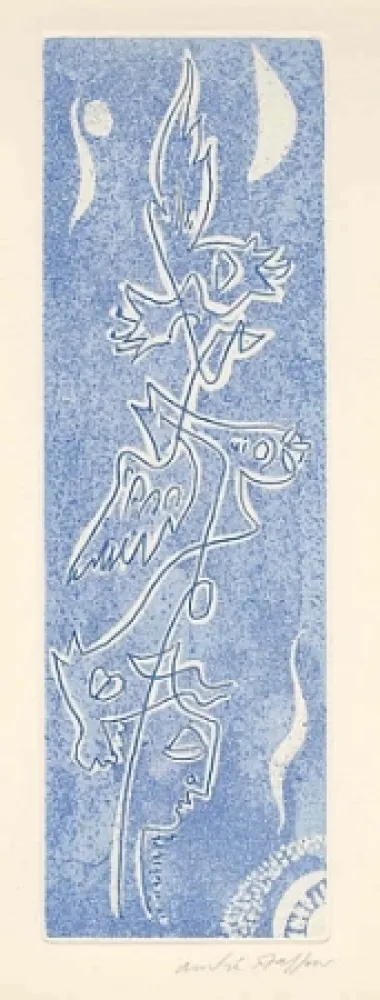 Geïllustreerd Boek Masson - Méta.morphoses