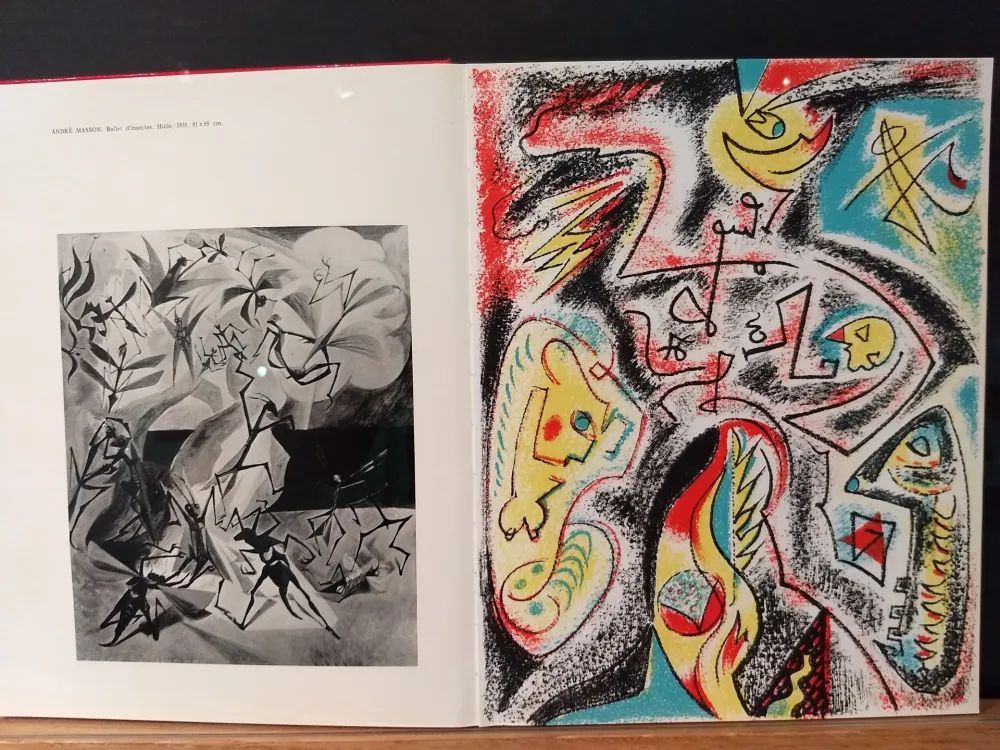 Geïllustreerd Boek Masson - Xxe No 32