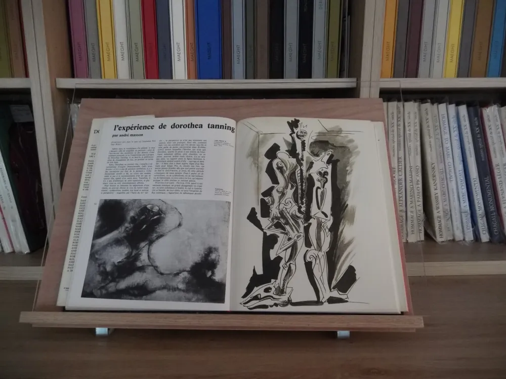 Geïllustreerd Boek Masson - Xxe Tanning