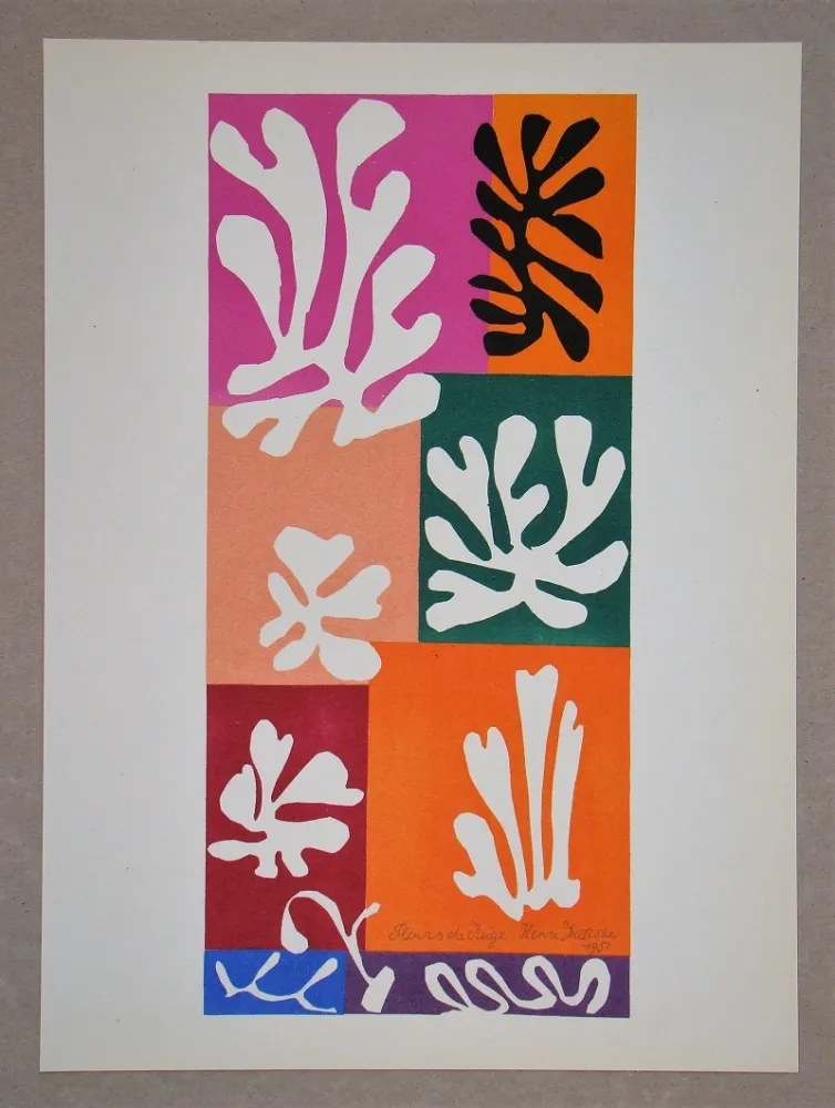 Lithografie Matisse (After) - Fleur De Neige - 1951