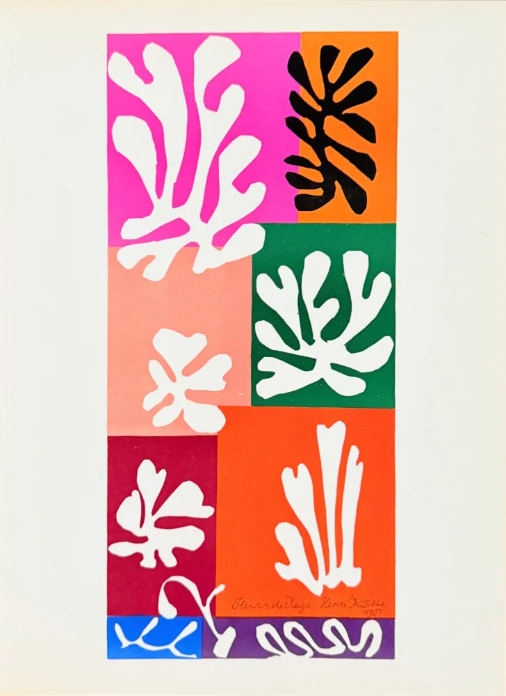 Lithografie Matisse - Fleurs de Neige