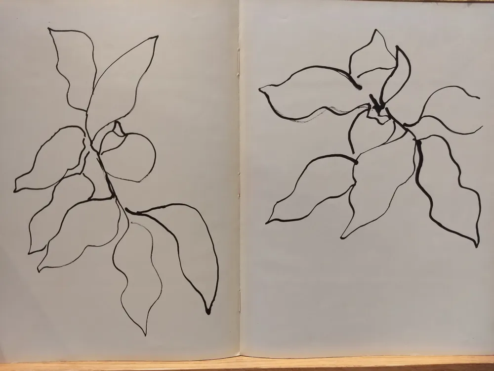Geïllustreerd Boek Matisse - Vence