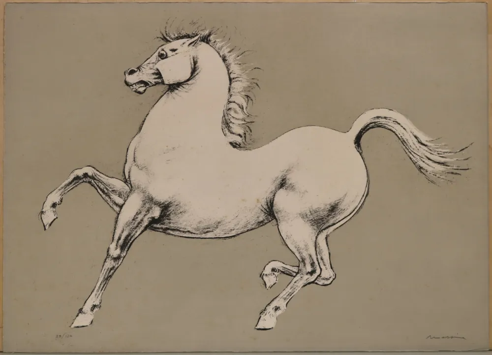 Lithografie Messina - Stallone