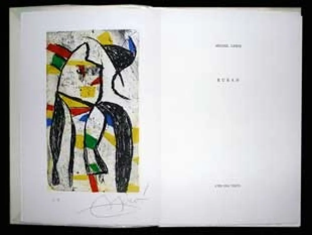 Geïllustreerd Boek Miró - Le ruban