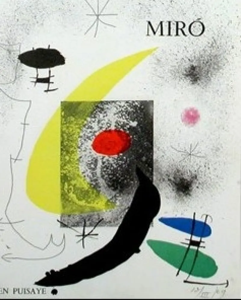 Geïllustreerd Boek Miró - Pavane pour Miró