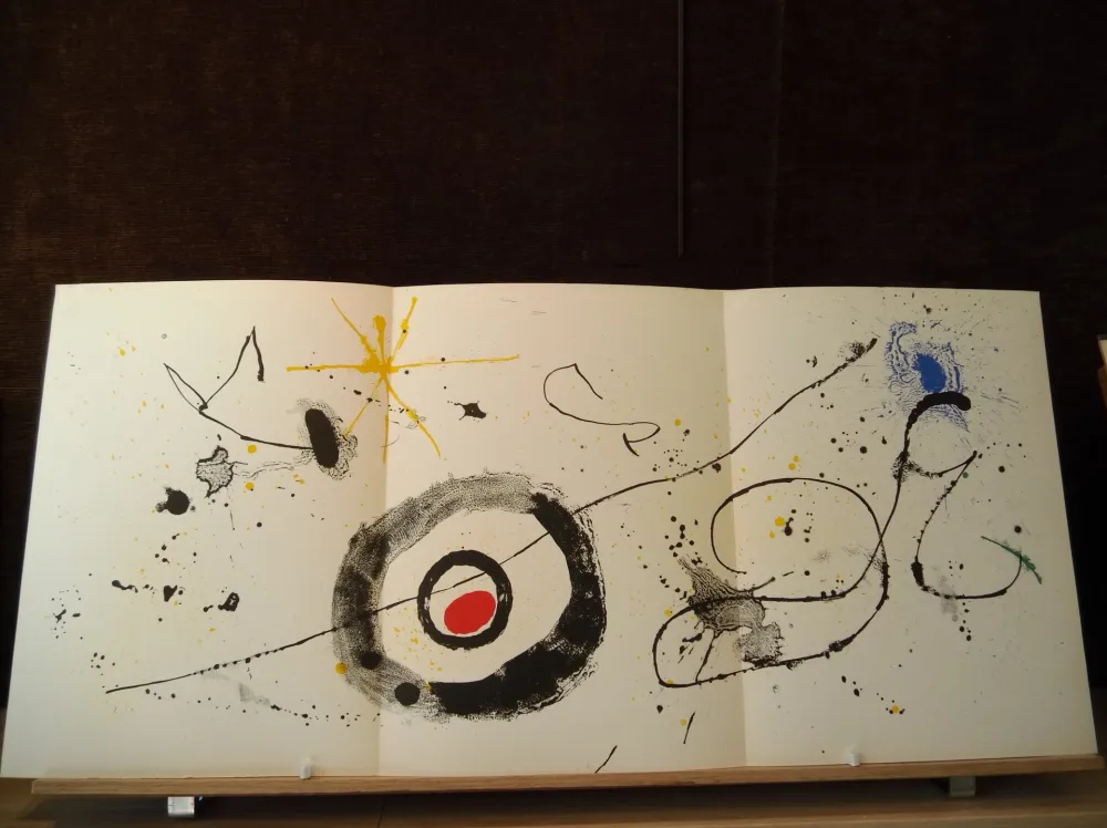 Geïllustreerd Boek Miró - Terres de grand feu