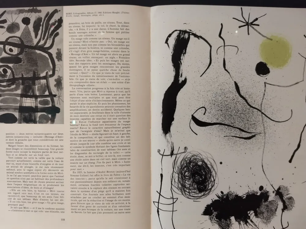 Geïllustreerd Boek Miró - XXE No 24