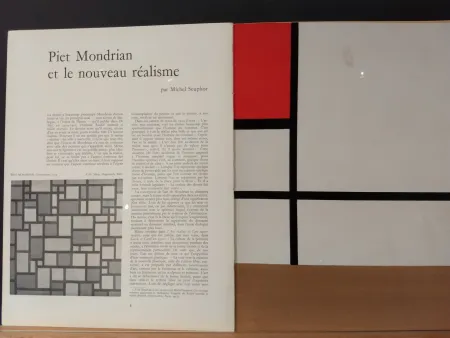 Geïllustreerd Boek Mondrian - Xxe No 9
