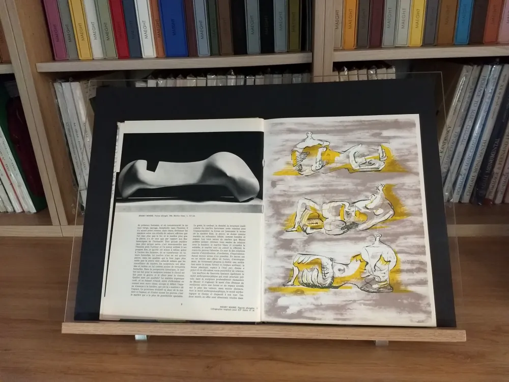 Geïllustreerd Boek Moore - No 36