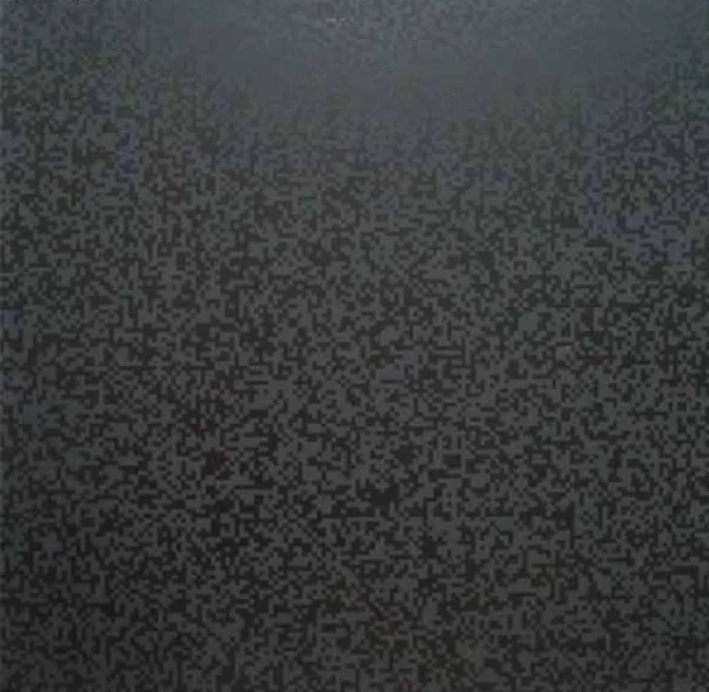 Zeefdruk Morellet - 40 000 carrés