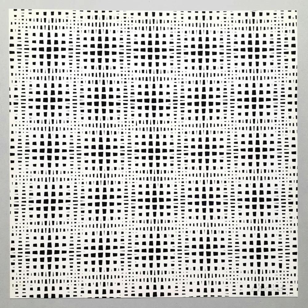 Zeefdruk Morellet - Senza titolo