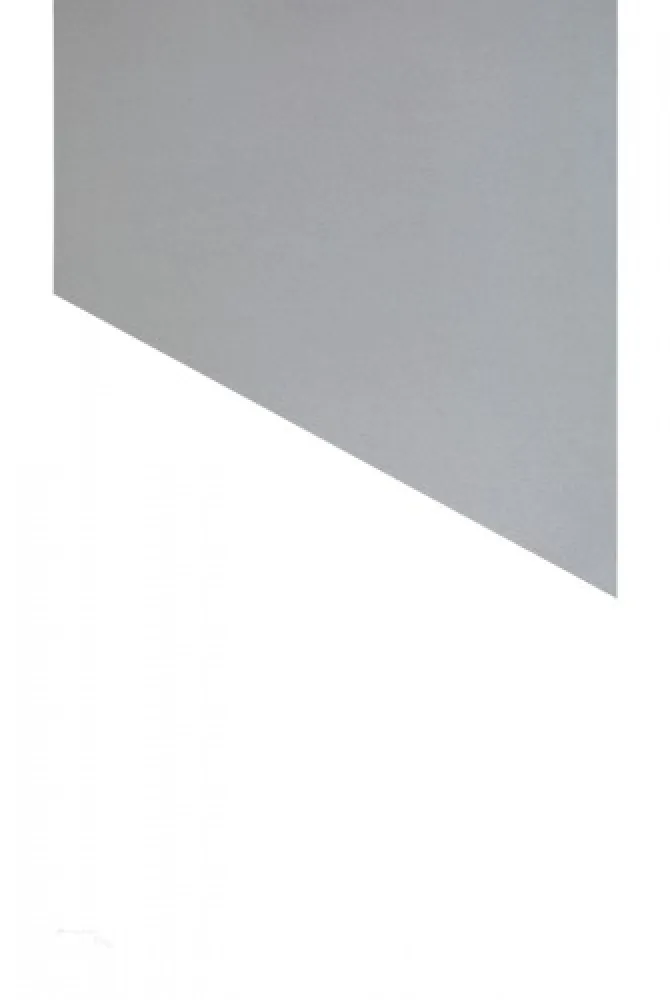 Lithografie Mosset - 