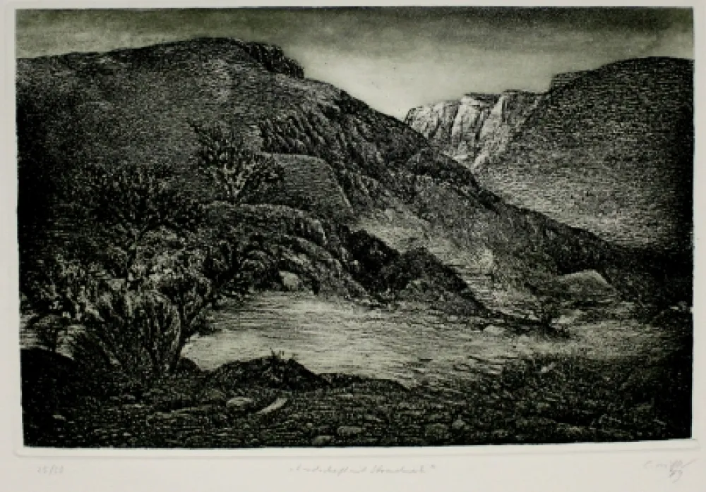 Ets En Aquatint Müller - Landschaft mit Strauchwerk / Landscape with Bushes