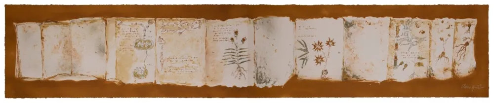 Multiple Muñoz - Manuscrit II