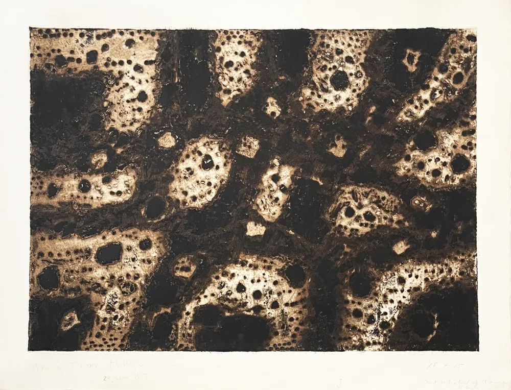 Gravure Music - Terres dalmates