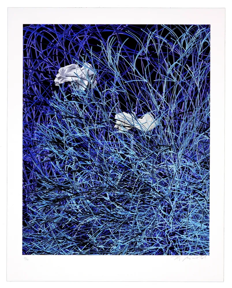 Digitale Print Myrvold - Paper in Blue Wires