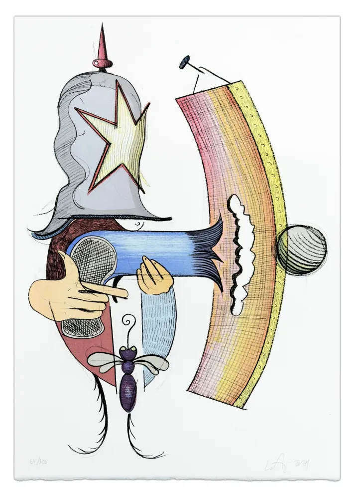 Geïllustreerd Boek Nørgard - Dung Beetle Blues