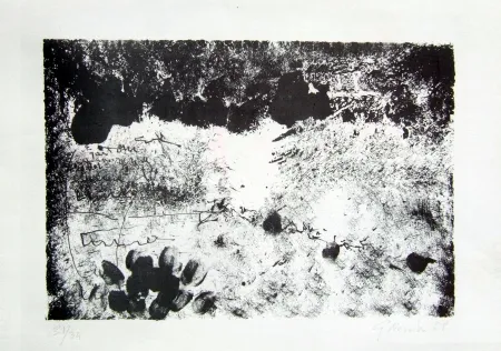 Lithografie Novelli - Senza titolo