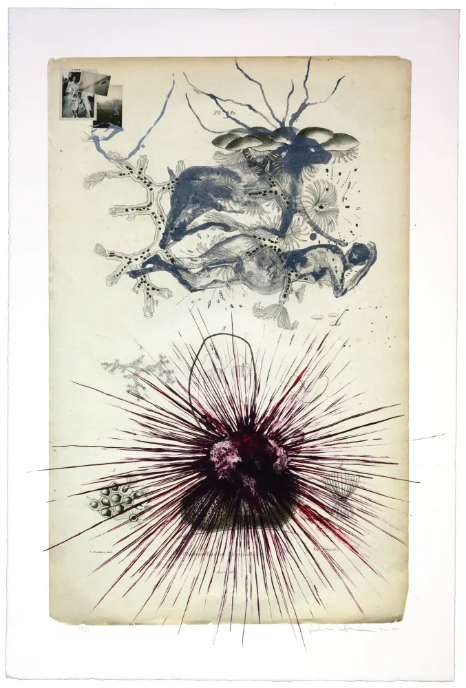 Lithografie Olguin - Sans titre