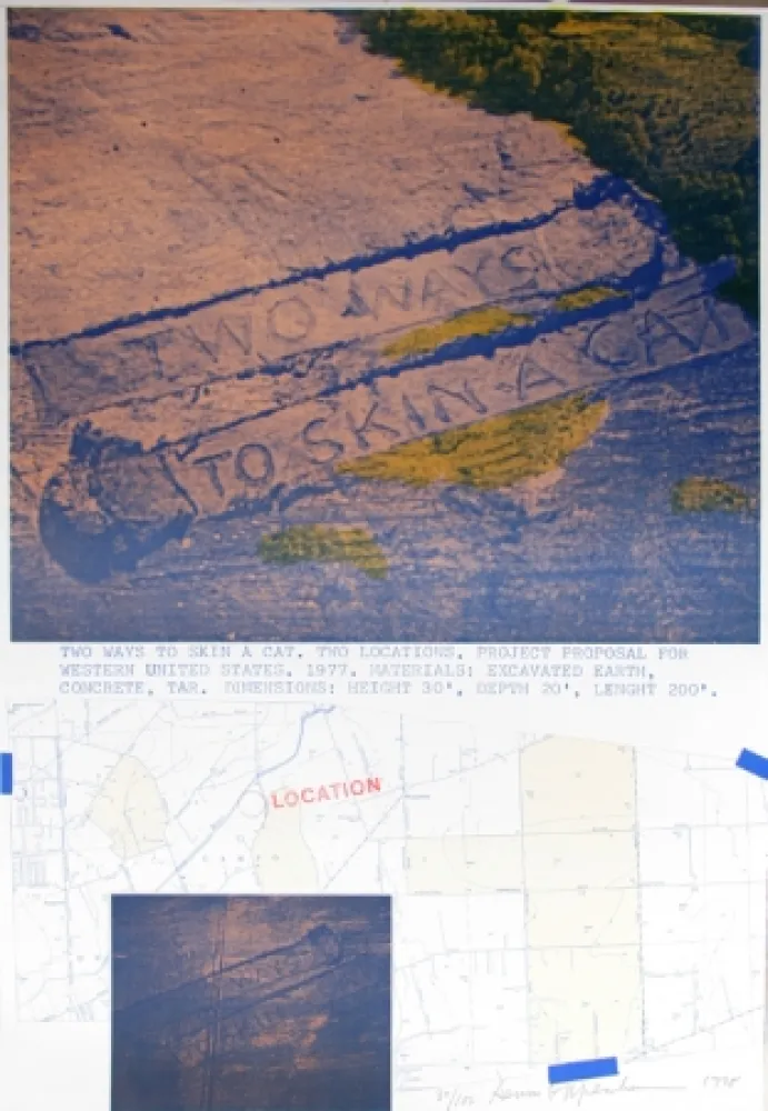 Lithografie Oppenheim - Two Ways to Skin a Cat