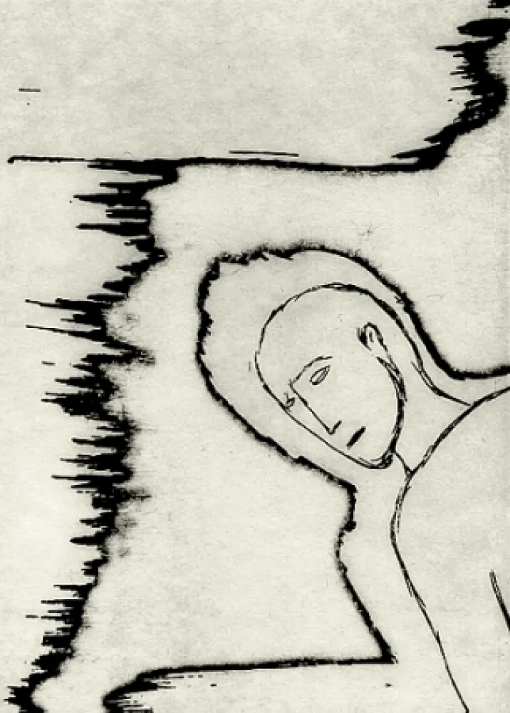 Geïllustreerd Boek Paladino - Piccolo circolo chiuso