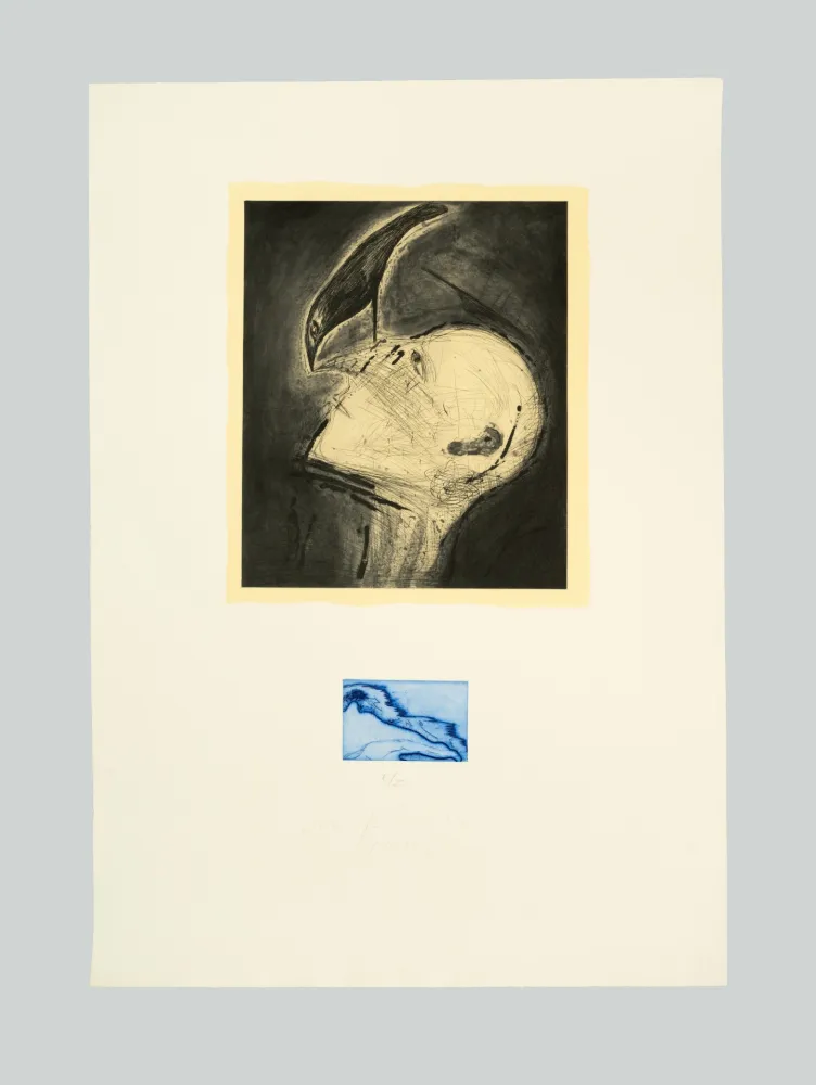 Ets En Aquatint Paladino - Senza titolo