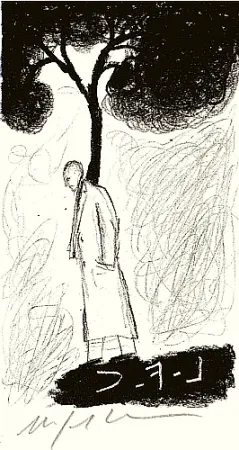 Geïllustreerd Boek Paladino - Tartre