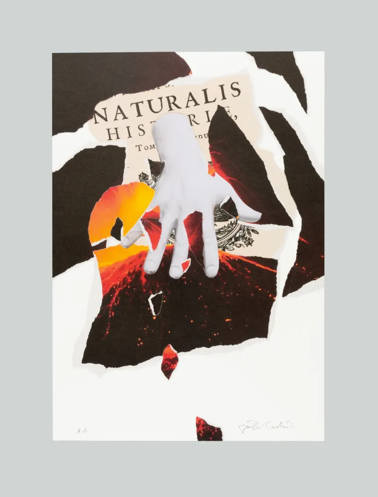 Lithografie Paolini - Naturalis historia