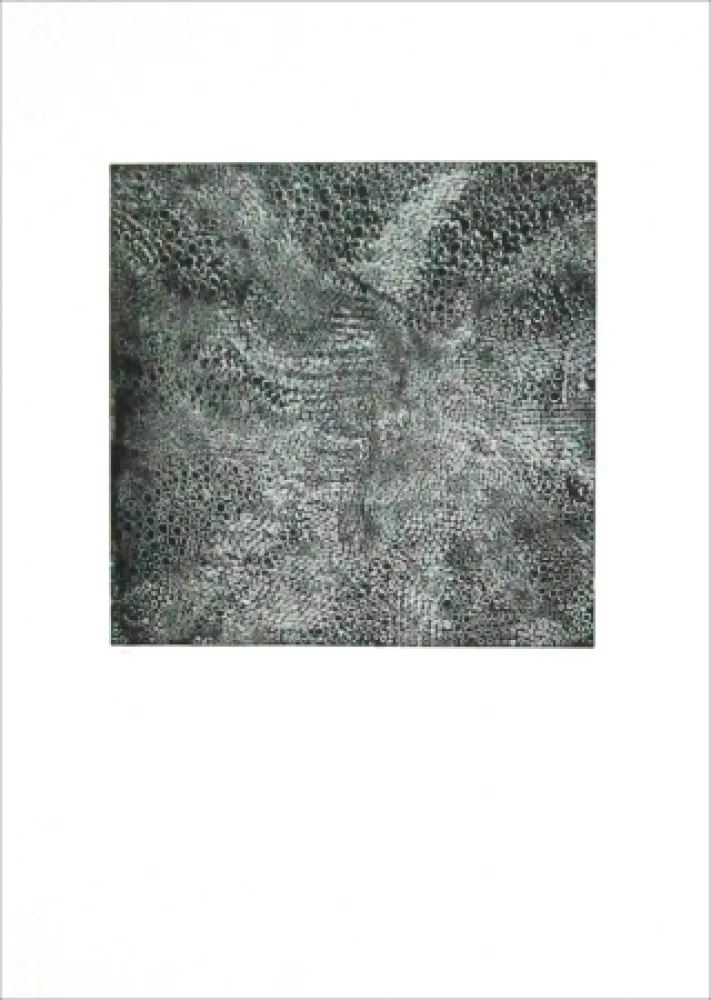 Ets Parant - Eboulement pour le ciel