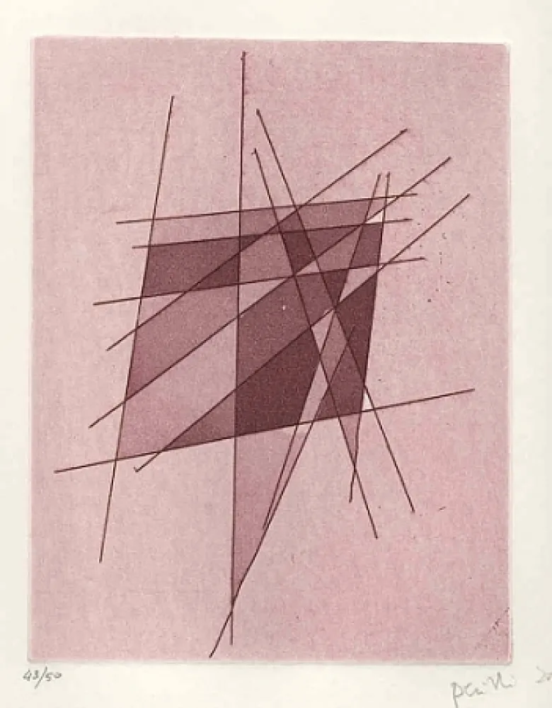 Geïllustreerd Boek Perilli - Sylvatica