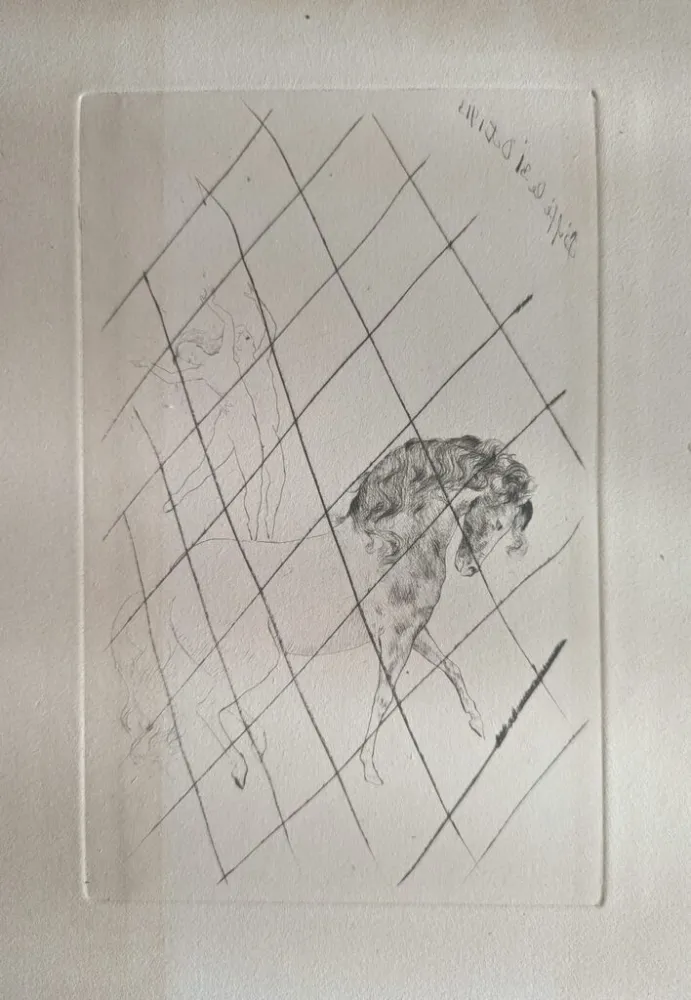 Droge Naald Picasso - Au cirque