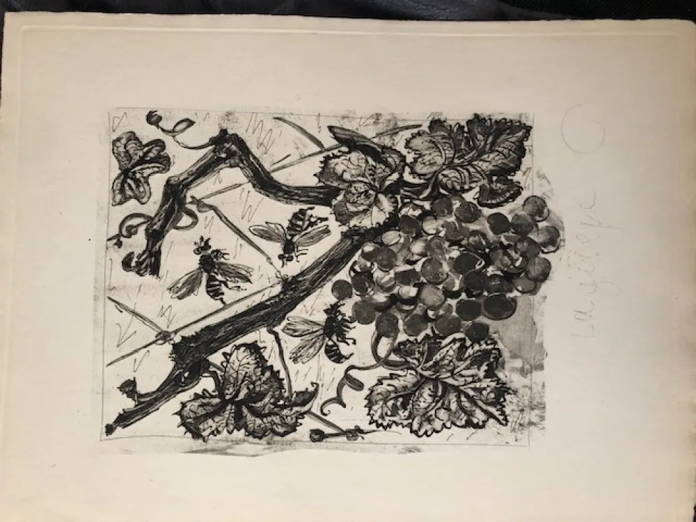 Aquatint Picasso - La guêpe