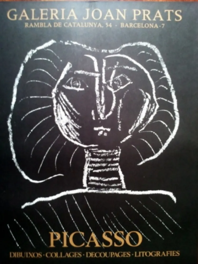 Poster Picasso - S/T